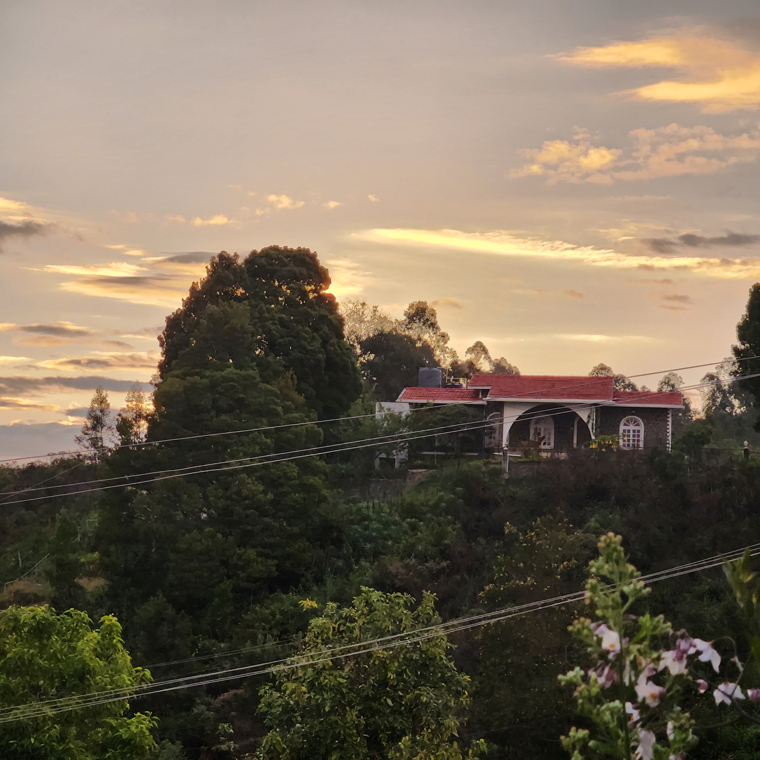 2BHK Hilltop Chalet Vista